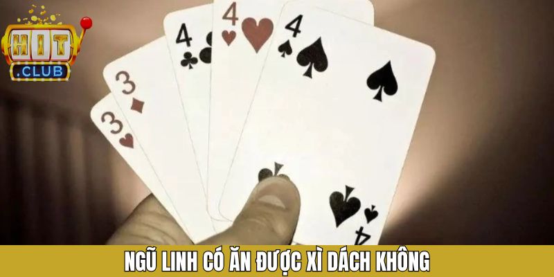 Ngũ Linh Có Ăn Được Xì Dách Không - Hitclub Giải Đáp Cụ Thể